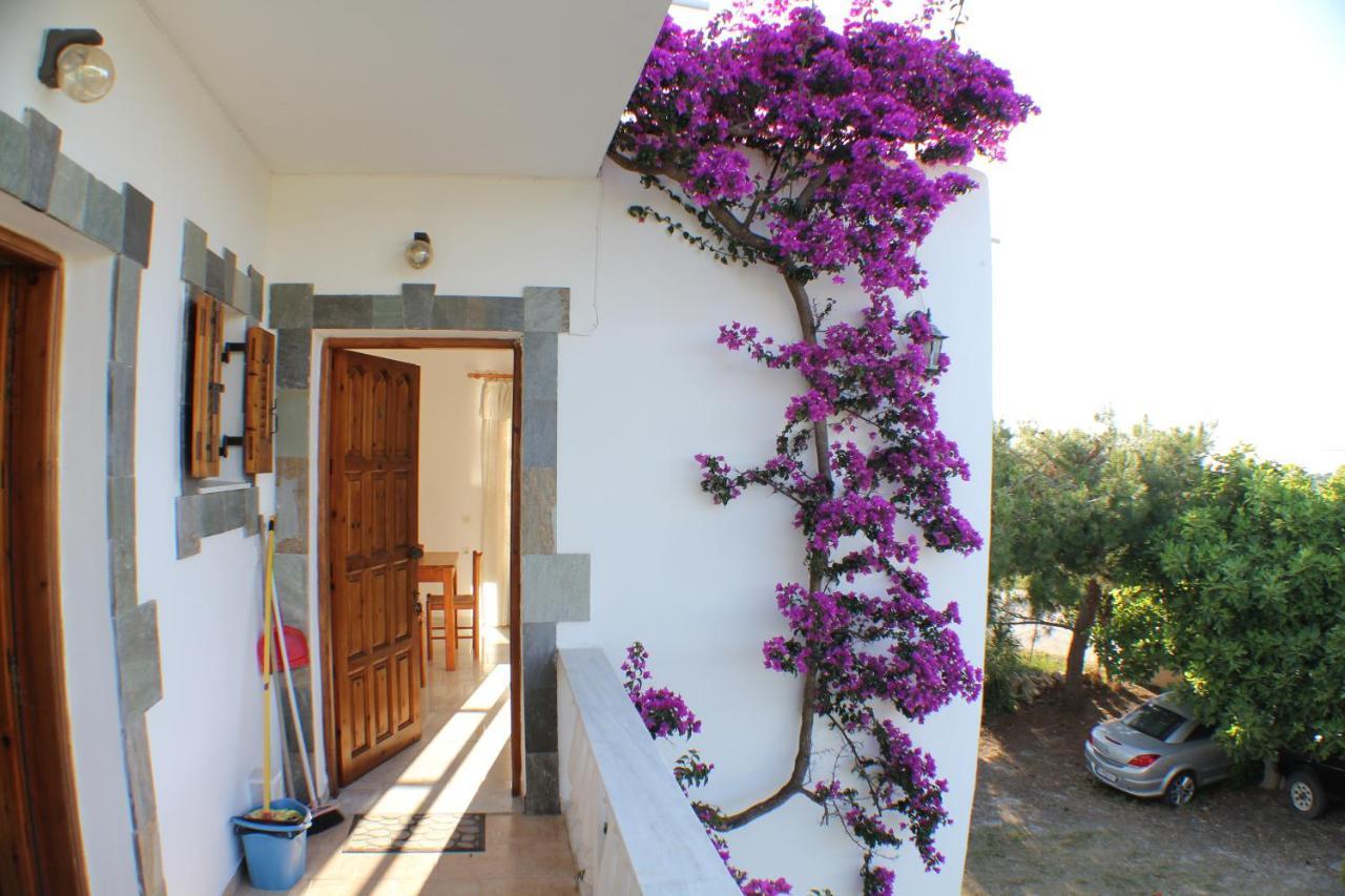 Nikolas House أريلاز المظهر الخارجي الصورة